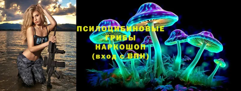 где найти наркотики  ссылка на мегу зеркало  Псилоцибиновые грибы Magic Shrooms  Оленегорск 